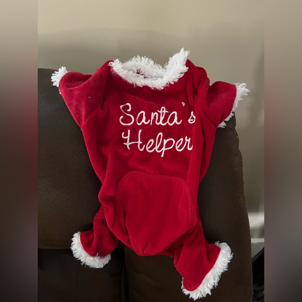 Santa's Helper Red Dog Costume